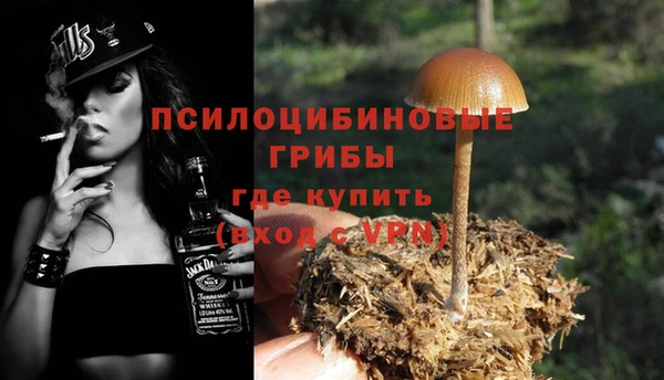 a pvp Зеленокумск