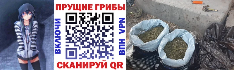 Купить закладки  Дедовск  Псилоцибиновые грибы прущие грибы 