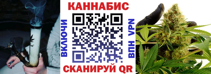 Бошки Шишки гибрид  Купить  Дедовск 